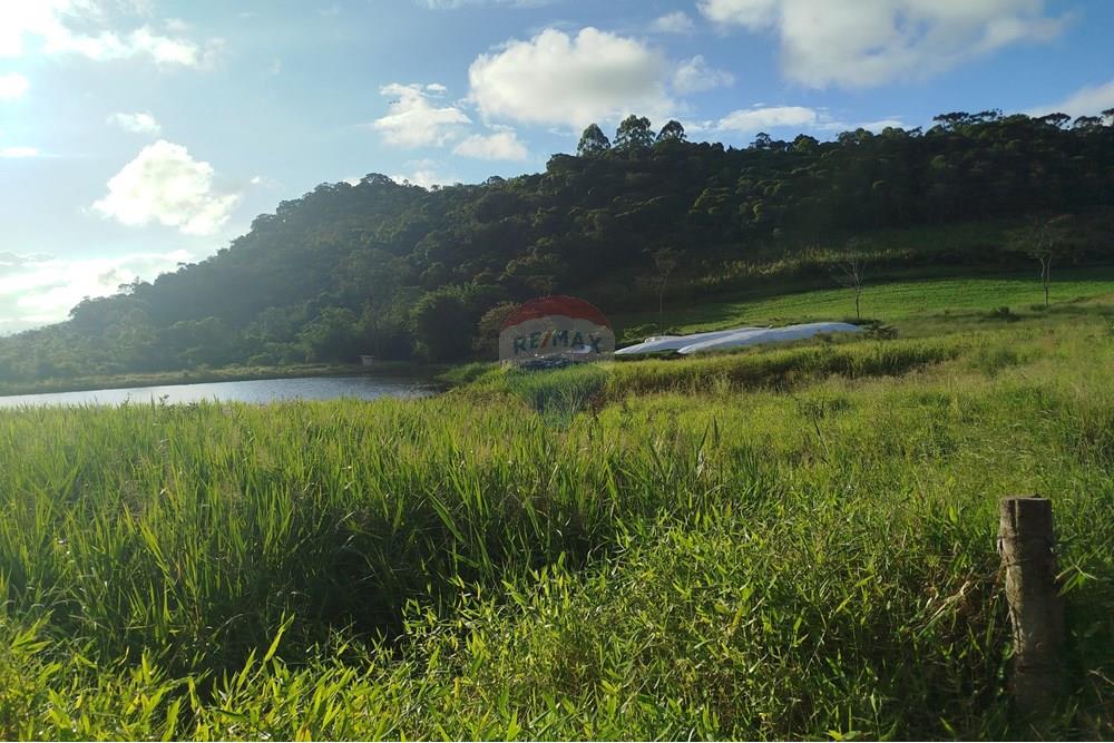 Fazenda - Venda - Barbacena , Minas Gerais - IMG_20250421_161604.jpg - 860391012-32