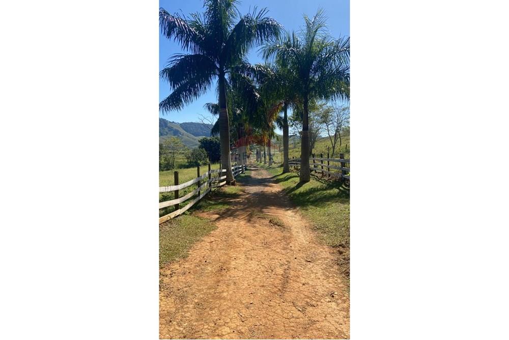 Chácara / Sítio / Fazenda - Venda - Lima Duarte , Minas Gerais - WhatsApp Image 2025-03-01 at 10.18.14.jpeg - 860291033-79