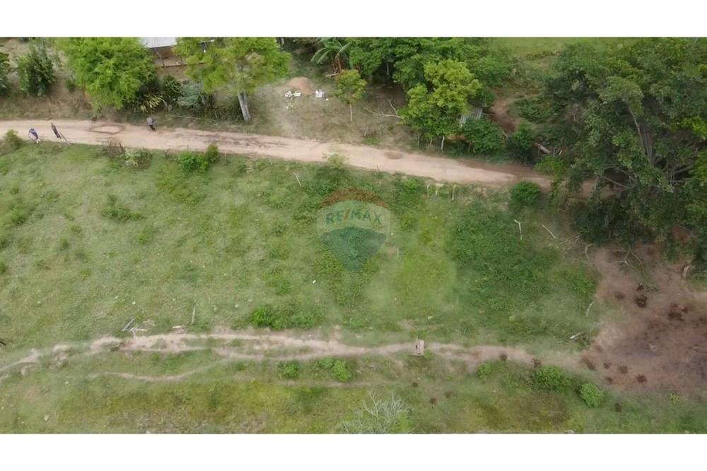 Terreno - Venda - Barão de Monte Alto , Minas Gerais - dji_fly_20251207_080257_0_1765105377310_photo_low_quality.jpg - 860371002-205