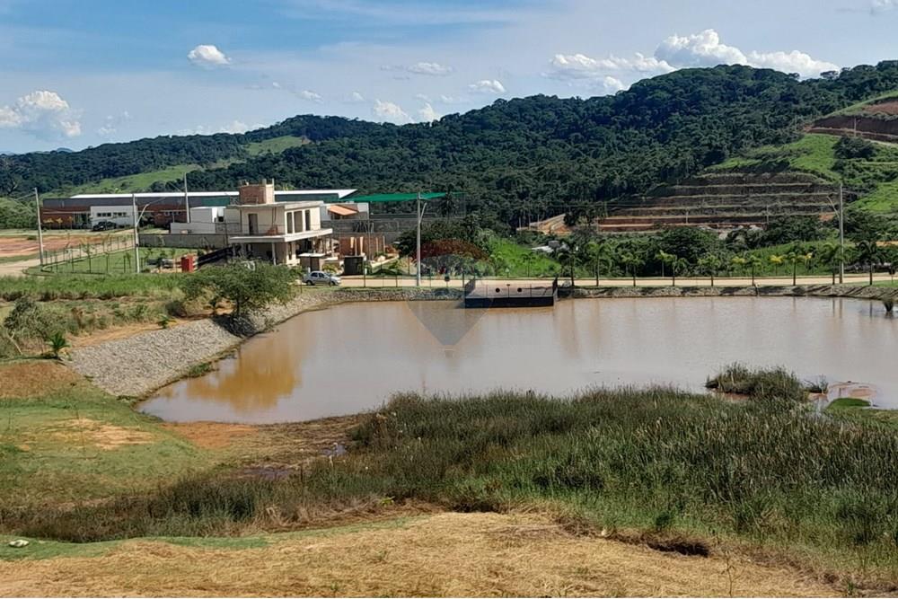 Terreno - Venda - Matias Barbosa , Minas Gerais - WhatsApp Image 2025-02-08 at 12.31.09.jpeg - 860381043-47