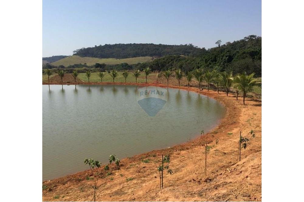Terreno - Venda - Leopoldina , Minas Gerais - Imagem do WhatsApp de 2025-08-12 à(s) 19.00.03_6dde412e - Copia.jpg - 860381054-6