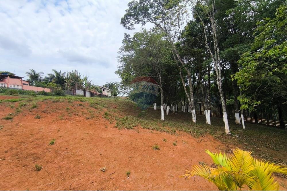 Terreno - Venda - Conselheiro Lafaiete , Minas Gerais - Chacara Bandeirinhas4.jpg - 860421004-1318