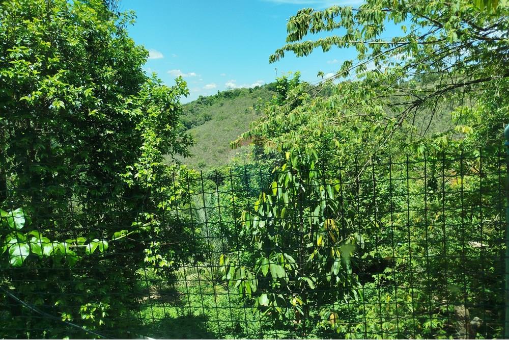 Chácara / Sítio / Fazenda - Venda - Barbacena , Minas Gerais - IMG_20251112_105632.jpg - 860391028-24