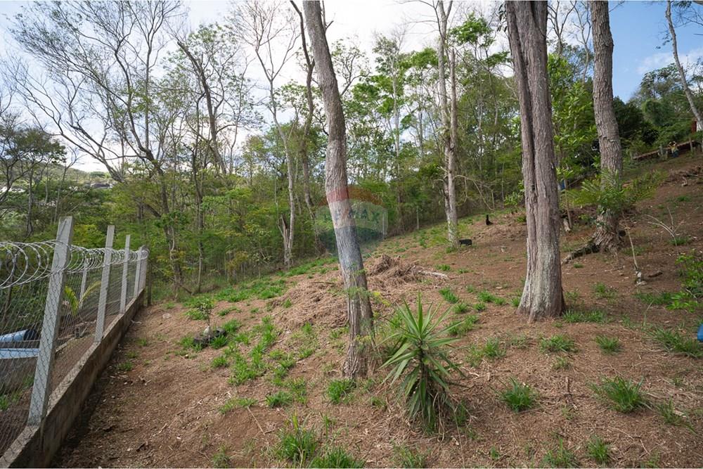 Terreno - Venda - Juiz de Fora , Minas Gerais - michaelseed photo_1103-15.jpg - 860211074-39