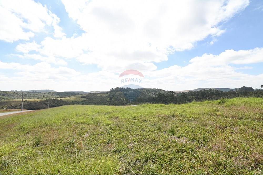 Terreno - Venda - Juiz de Fora , Minas Gerais - michaelseed photo_-383.jpg - 860211077-198