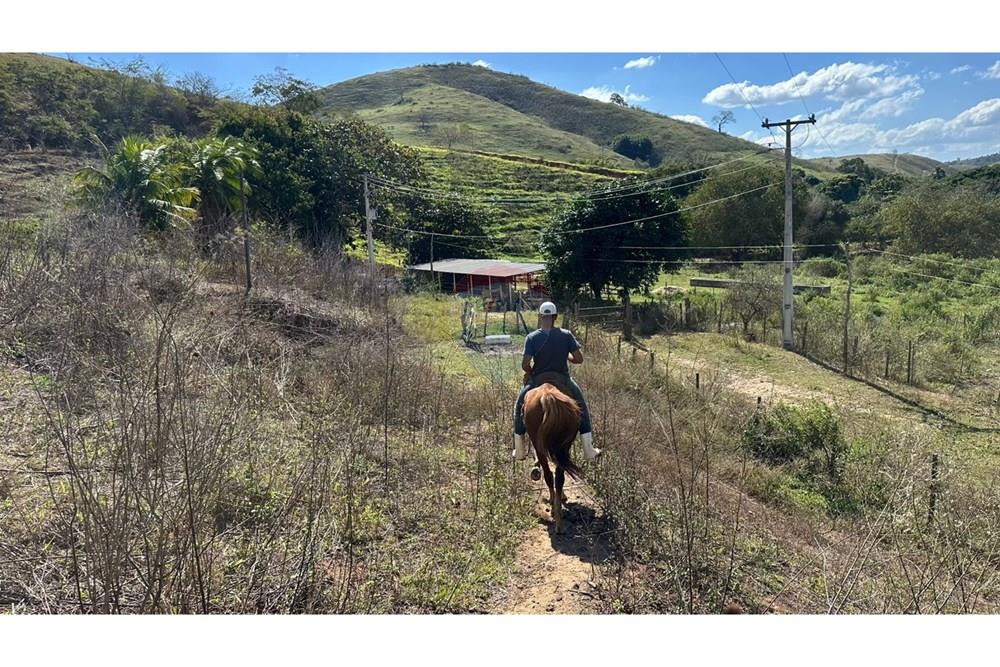 Chácara / Sítio / Fazenda - Venda - Cantagalo , Rio de Janeiro - e3009d8f-8586-4885-a48e-c57070dbde6e.JPG - 860291041-3
