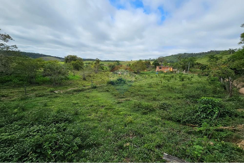Terreno - Venda - Barão de Monte Alto , Minas Gerais - 20251207_080914.jpg - 860371002-205