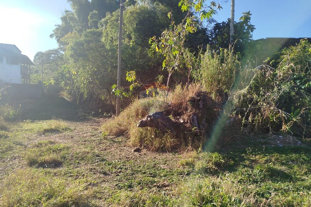 Terreno - Venda - Barbacena , Minas Gerais - IMG_20250729_161133.jpg - 860391012-42