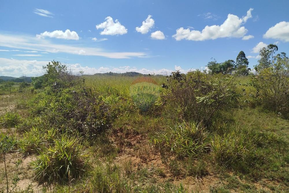 Terreno - Venda - Barbacena , Minas Gerais - IMG_20260212_144457.jpg - 860391012-44