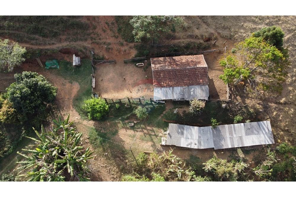 Chácara / Sítio / Fazenda - Venda - Ewbank da Câmara , Minas Gerais - WhatsApp Image 2025-02-19 at 16.44.54 (2).jpeg - 860301045-274