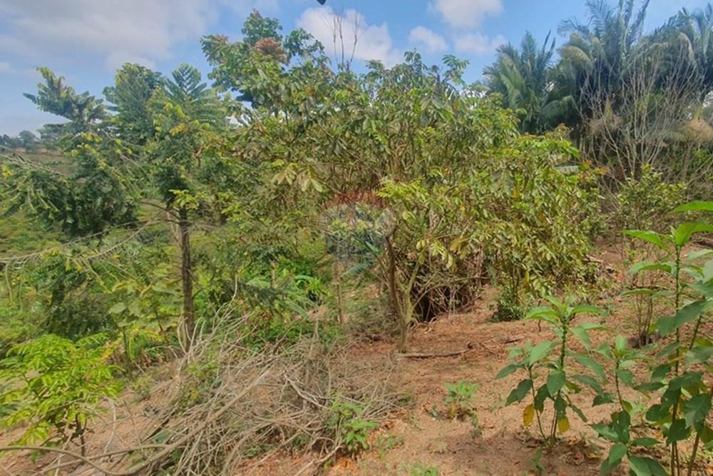 Chácara / Sítio / Fazenda - Venda - Barbacena , Minas Gerais - WhatsApp Image 2025-11-17 at 14.43.29 (1).jpeg - 860391028-24