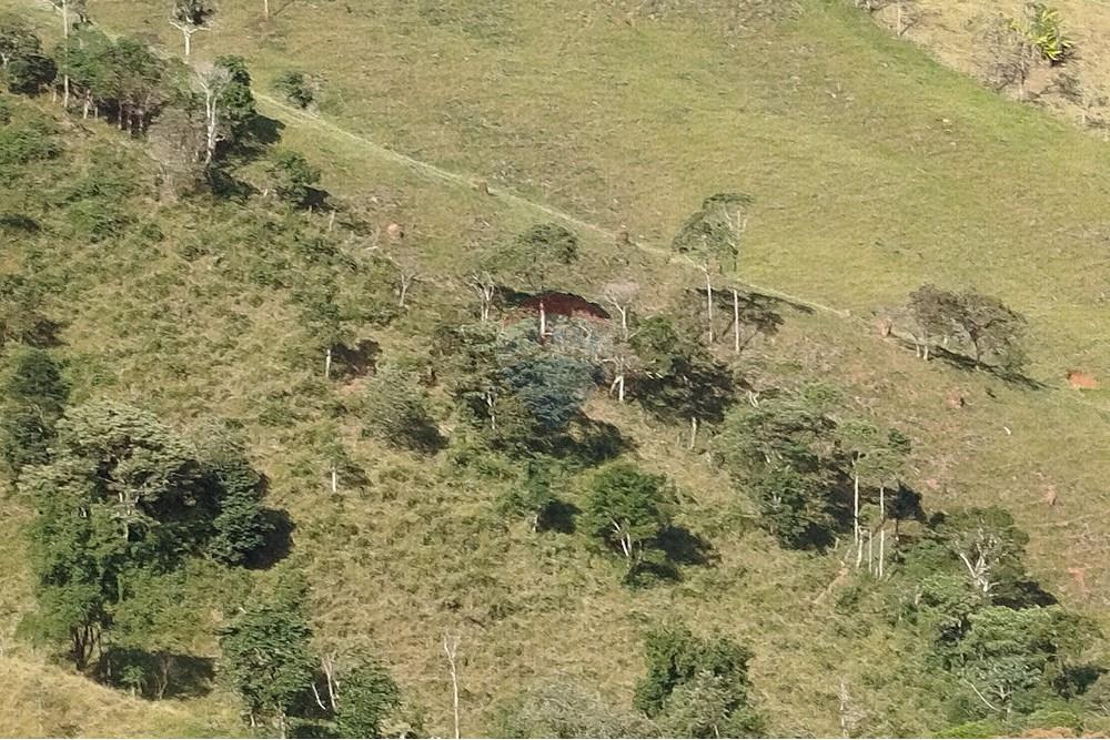 Fazenda - Venda - Barbacena , Minas Gerais - IMG_20250402_150403.jpg - 860391012-32