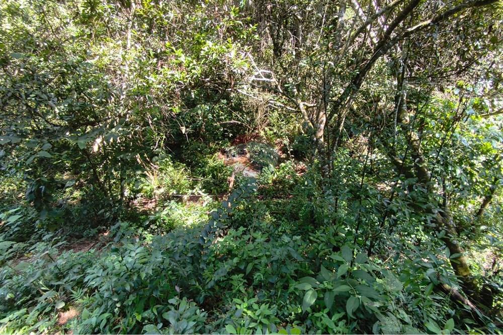 Chácara / Sítio / Fazenda - Venda - Lavras , Minas Gerais - WhatsApp Image 2026-04-08 at 17.33.34 (2).jpeg - 860471037-28