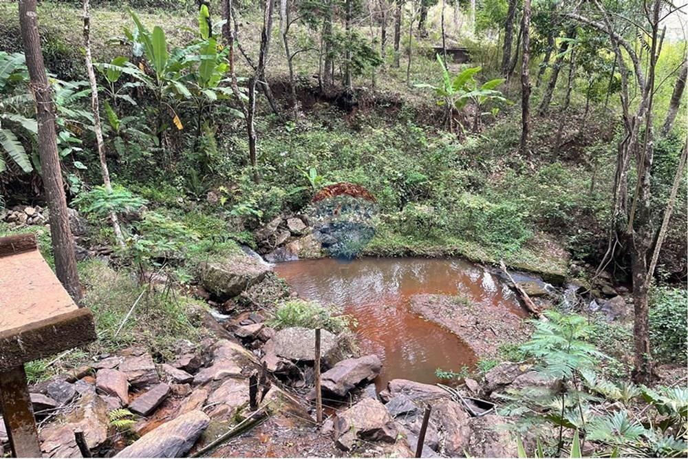 Chácara / Sítio / Fazenda - Venda - Lima Duarte , Minas Gerais - L_dd589aab-d453-4625-8b93-38d5f69e3e16.jpg - 860291033-123