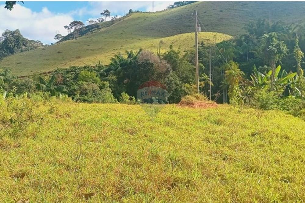 Chácara / Sítio / Fazenda - Venda - Piau , Minas Gerais - WhatsApp Image 2025-06-27 at 19.34.25 (2).jpeg - 860281098-54