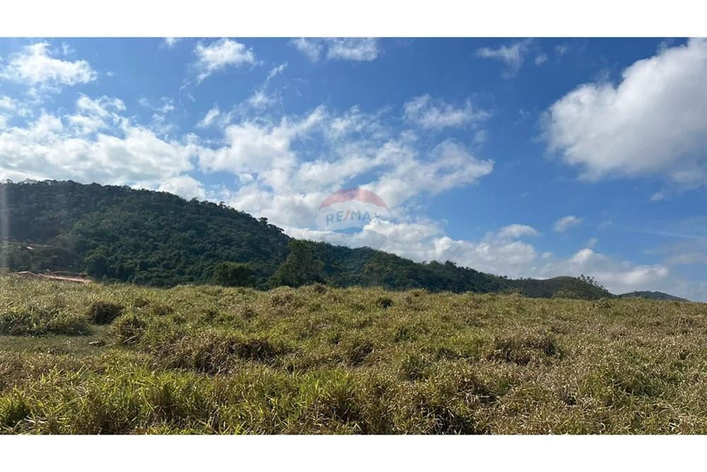 Terreno - Venda - Juiz de Fora , Minas Gerais - be81c840-f6b7-4409-812b-483b0606f9be.JPG - 860291033-116