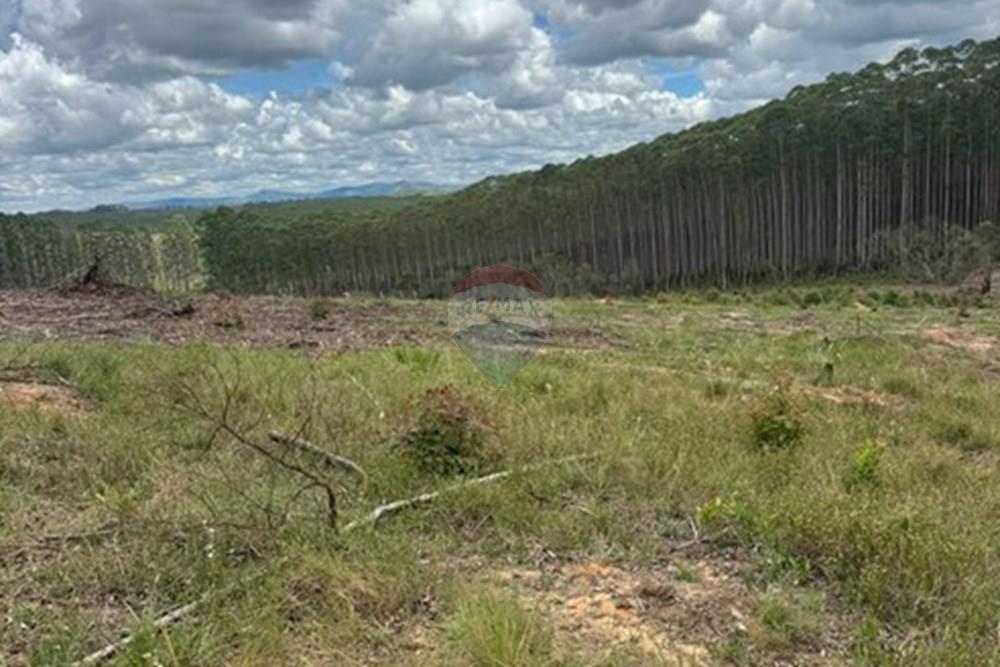 Terreno - Venda - Lima Duarte , Minas Gerais - WhatsApp Image 2026-03-02 at 18.31.28 (1).jpeg - 860291033-138