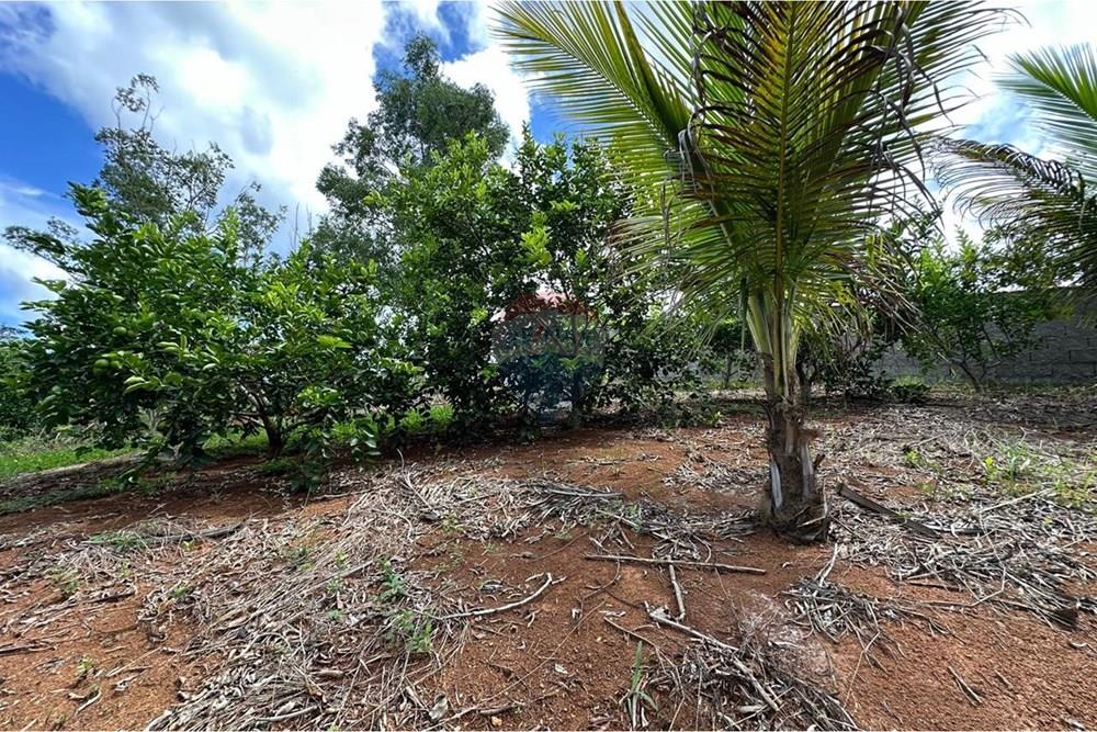 Chácara / Sítio / Fazenda - Venda - Muriaé , Minas Gerais - WhatsApp Image 2026-01-27 at 13.54.08 (1).jpeg - 860371007-116