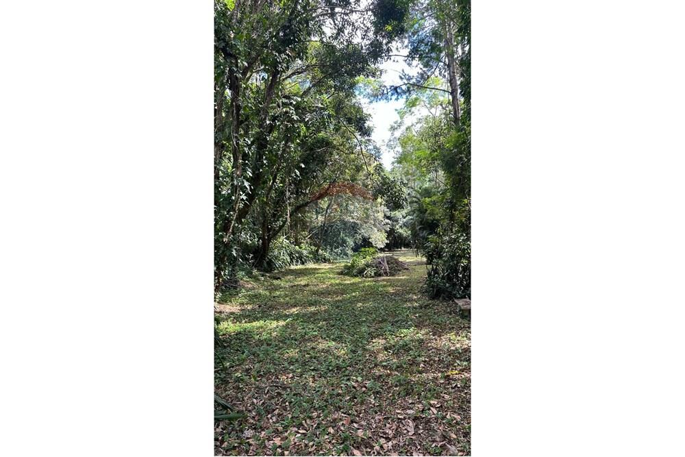 Chácara / Sítio / Fazenda - Venda - Matias Barbosa , Minas Gerais - 8222523d-612d-4eab-9dea-76dae820b20f.JPG - 860291033-99