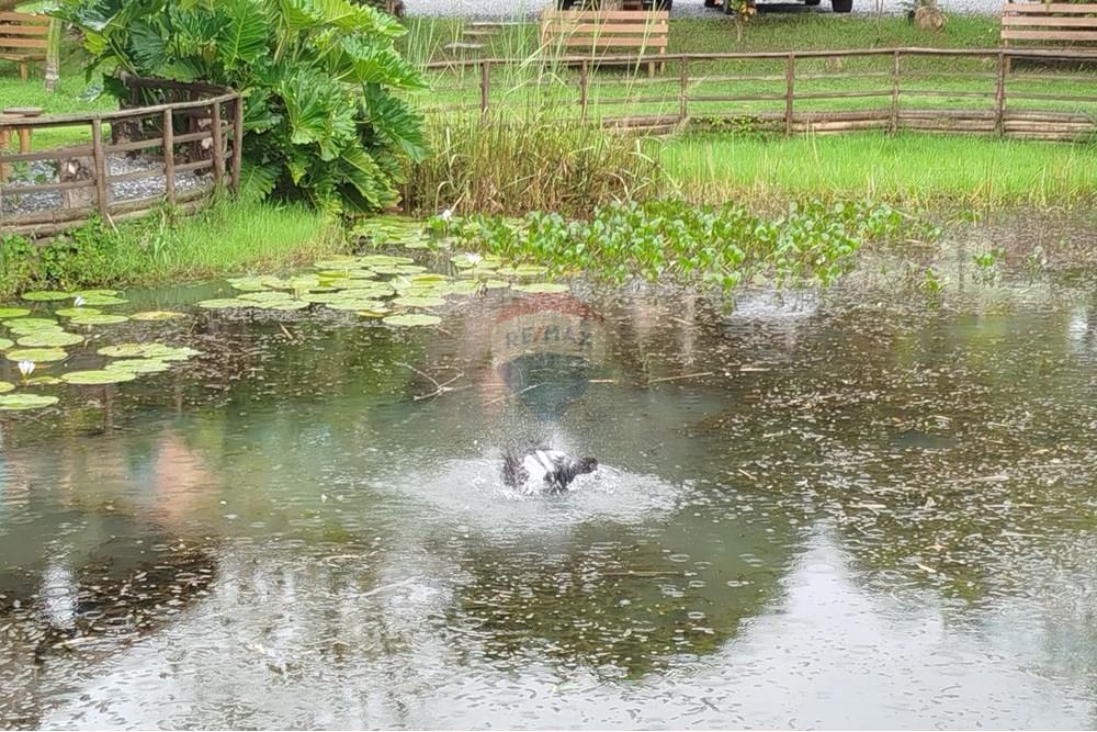 Hotel/ Pousada - Venda - Tiradentes , Minas Gerais - IMG_20250131_114435.jpg - 860391012-33