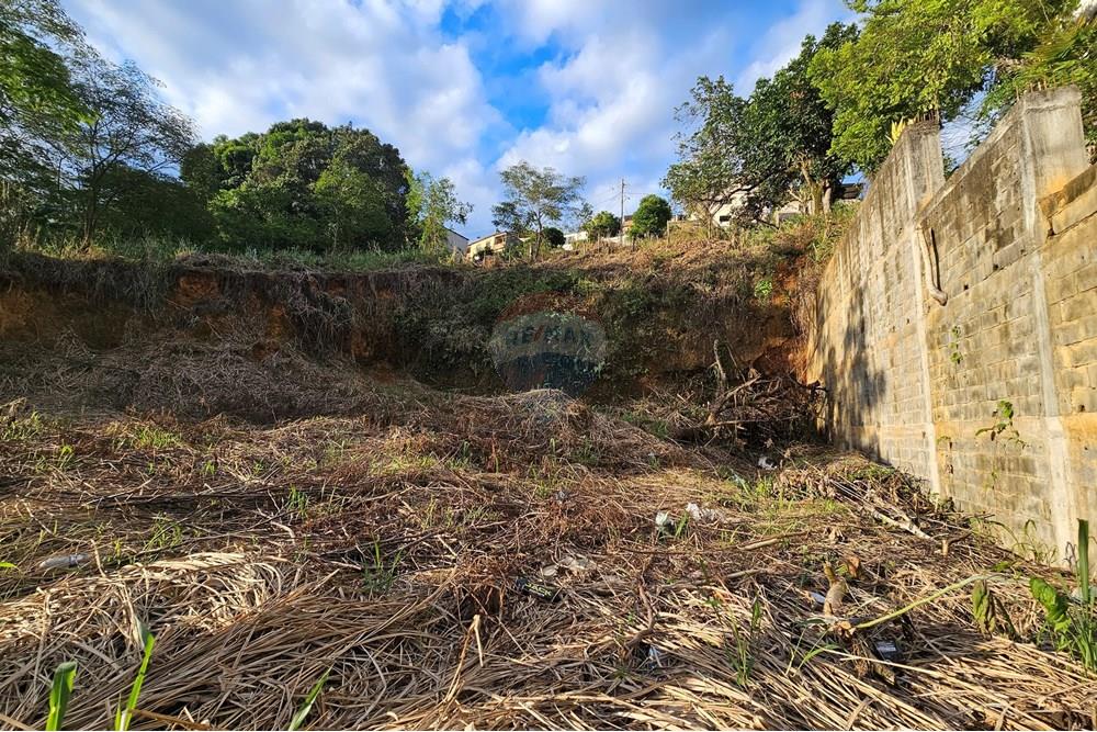 Terreno - Venda - Muriaé , Minas Gerais - 20251110_171717.jpg - 860371002-203