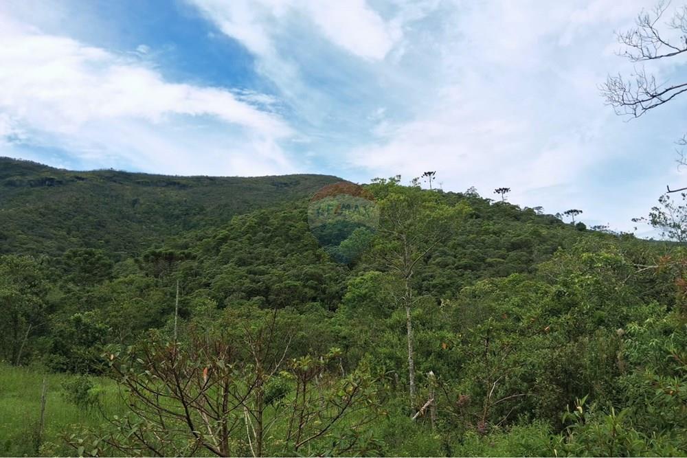 Chácara / Sítio / Fazenda - Venda - Rio Preto , Minas Gerais - WhatsApp Image 2026-01-10 at 15.06.13.jpeg - 860281098-67