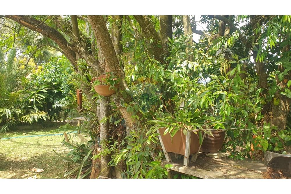 Chácara / Sítio / Fazenda - Venda - Barbacena , Minas Gerais - WhatsApp Image 2025-11-17 at 14.43.28 (20).jpeg - 860391028-24