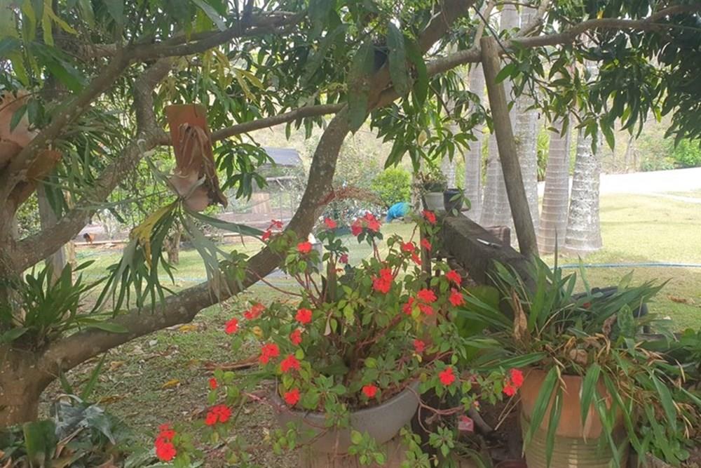 Chácara / Sítio / Fazenda - Venda - Barbacena , Minas Gerais - WhatsApp Image 2025-11-17 at 14.43.28 (18).jpeg - 860391028-24