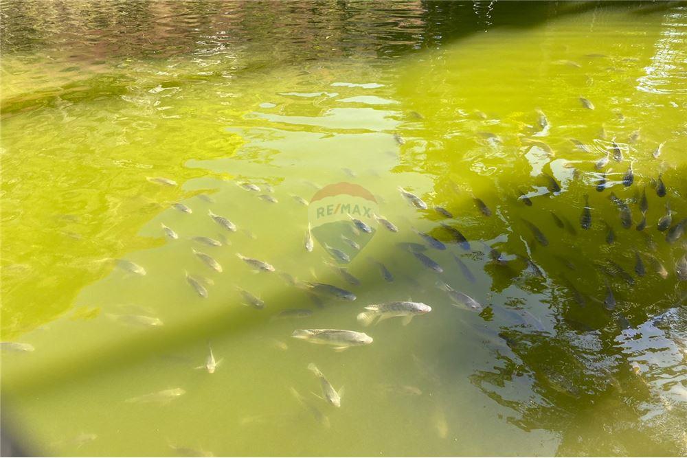 Apartamento - Alugar - Juiz de Fora , Minas Gerais - 37 - 860301009-506