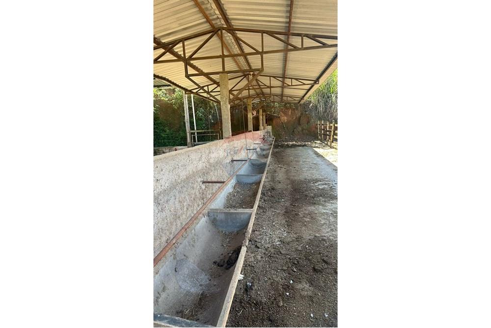 Chácara / Sítio / Fazenda - Venda - Juiz de Fora , Minas Gerais - fd96326e-482f-4a64-89dc-c54eae6ec7de.JPG - 860291033-68