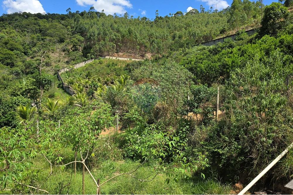 Chácara / Sítio / Fazenda - Venda - Ewbank da Câmara , Minas Gerais - 53.jpg - 860381070-34