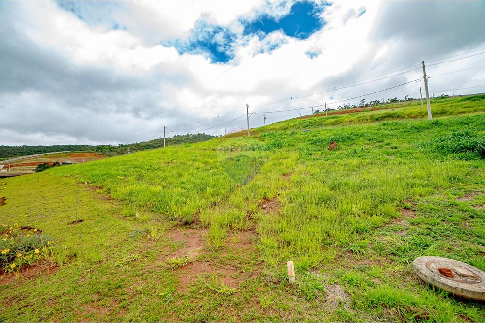Terreno - Venda - Juiz de Fora , Minas Gerais - MichaelLopes_Seed_alta 2080-219.jpg - 860281091-49