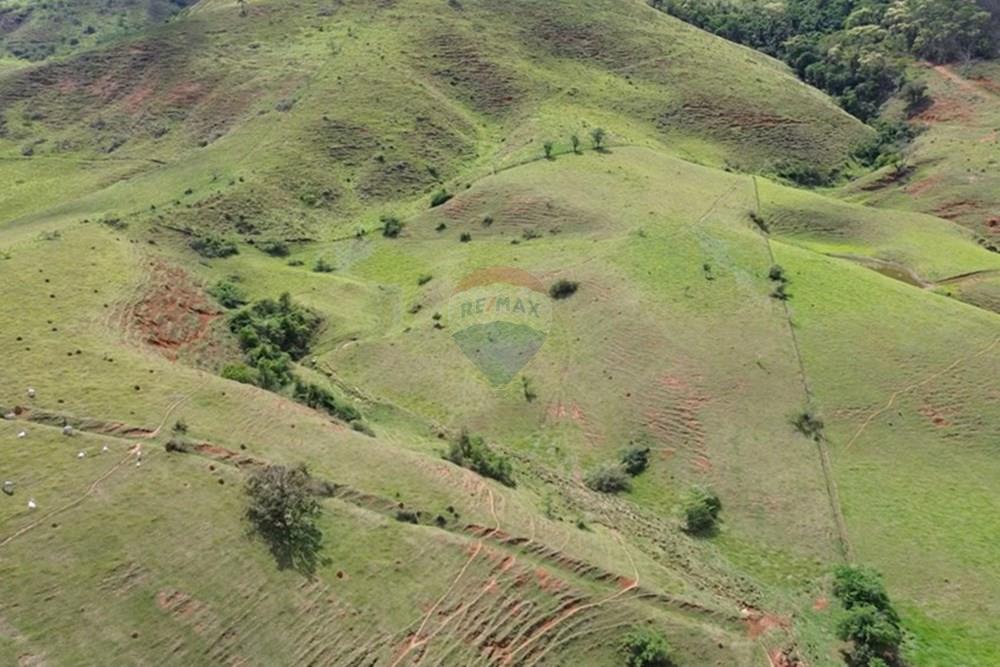 Agro - Venda - Rochedo de Minas , Minas Gerais - 0c0b68e5-d33f-4f7f-b39b-7dae18dd03d5.JPG - 860291041-34
