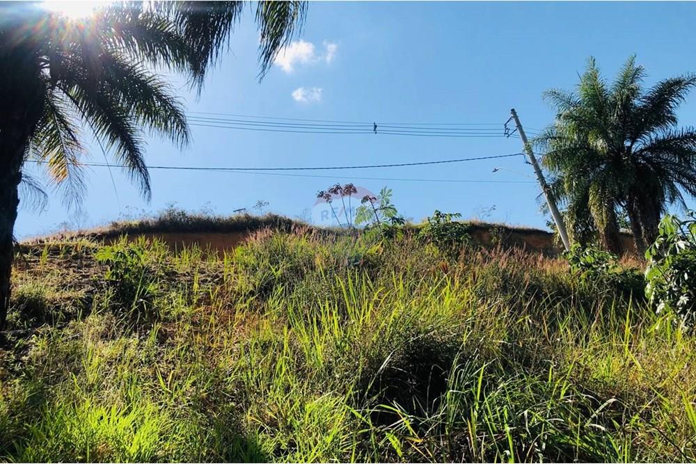 Terreno - Venda - Matias Barbosa , Minas Gerais - photo_5006023274320211426_y.jpg - 860321021-36