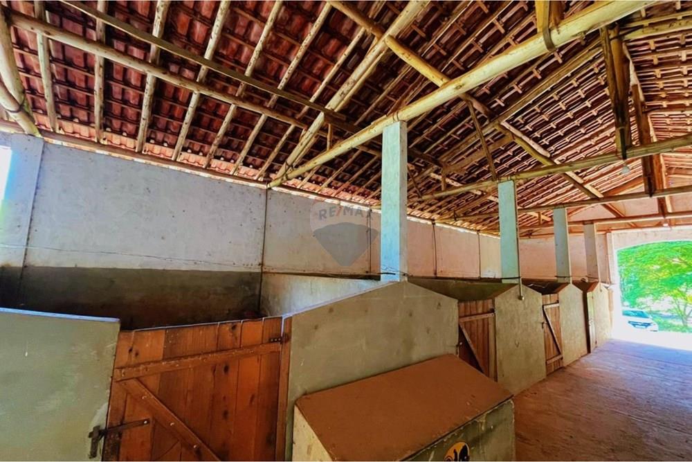 Chácara / Sítio / Fazenda - Venda - Lima Duarte , Minas Gerais - WhatsApp Image 2026-02-08 at 13.15.50 (1).jpeg - 860271019-33