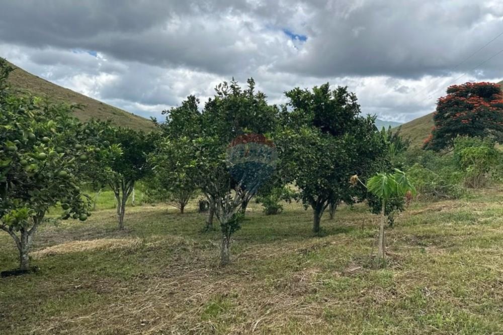 Chácara / Sítio / Fazenda - Venda - Lima Duarte , Minas Gerais - WhatsApp Image 2025-03-31 at 08.26.12 (1).jpeg - 860291033-87