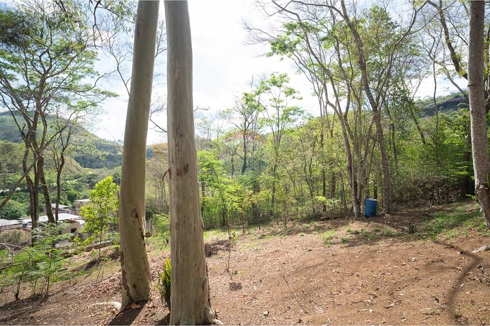 Terreno - Venda - Juiz de Fora , Minas Gerais - michaelseed photo_1103-8.jpg - 860211074-39