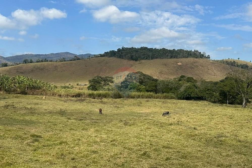 Chácara / Sítio / Fazenda - Venda - Lima Duarte , Minas Gerais - b829652d-6941-4626-a9d5-d6b4a510edf3.JPG - 860291033-133