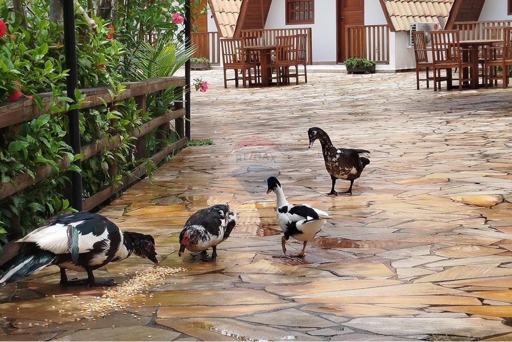 Hotel/ Pousada - Venda - Tiradentes , Minas Gerais - IMG_20250131_120141.jpg - 860391012-33