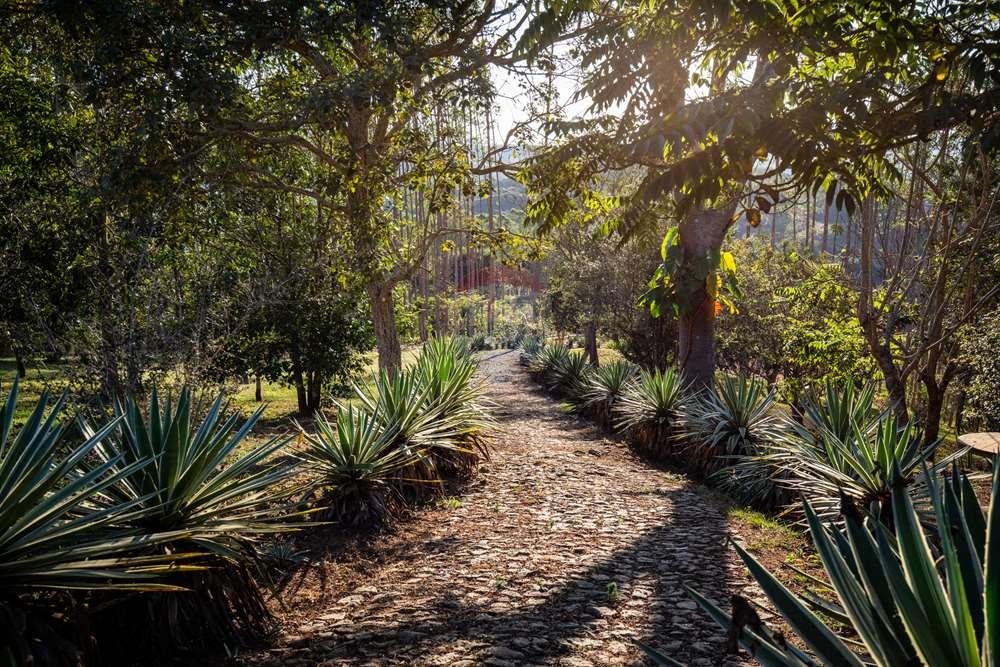 Chácara / Sítio / Fazenda - Venda - Juiz de Fora , Minas Gerais - Campana-13.jpg - 860211077-215