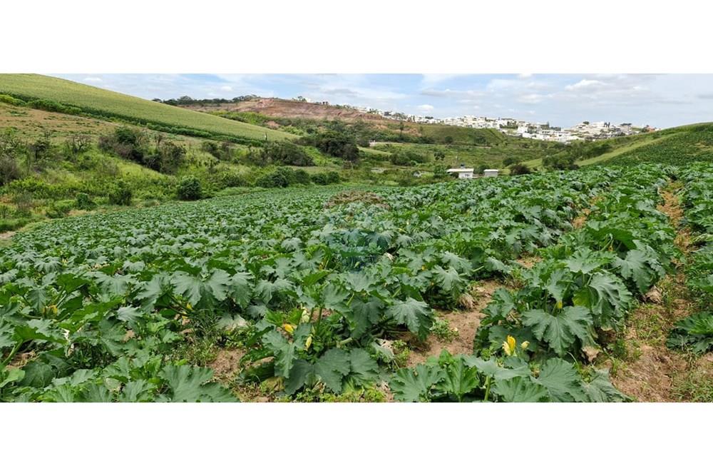 Terreno - Venda - Barbacena , Minas Gerais - WhatsApp Image 2025-01-24 at 11.32.44 (3).jpeg - 860391020-35