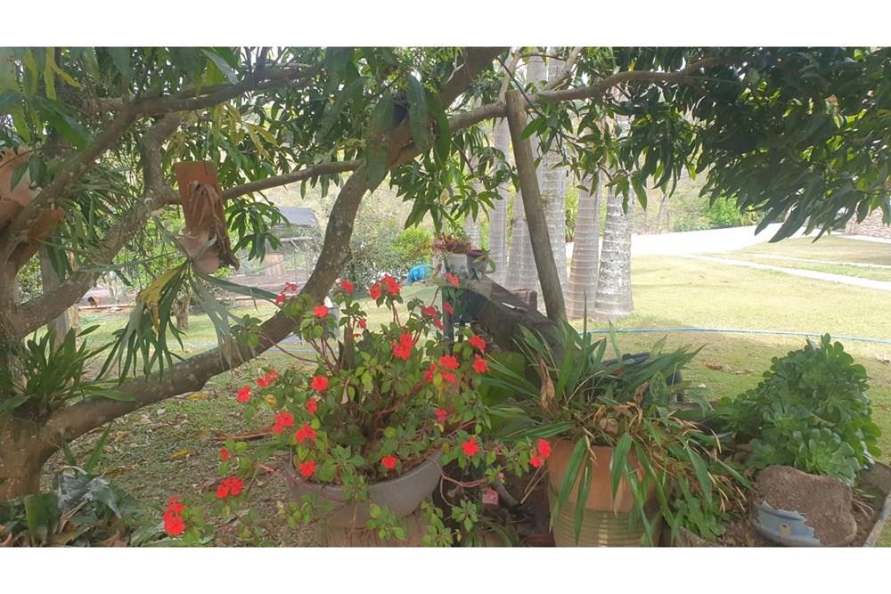 Chácara / Sítio / Fazenda - Venda - Barbacena , Minas Gerais - WhatsApp Image 2025-11-17 at 14.43.28 (18).jpeg - 860391028-24