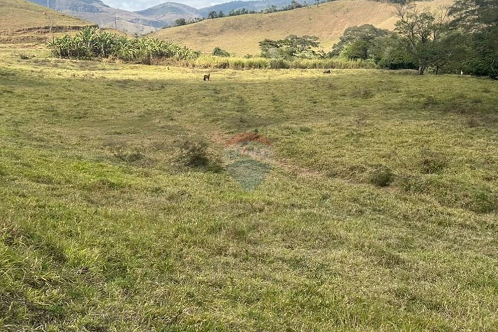 Chácara / Sítio / Fazenda - Venda - Lima Duarte , Minas Gerais - b3904d5f-efa0-4cc1-9d81-6510d04301f0.JPG - 860291033-133