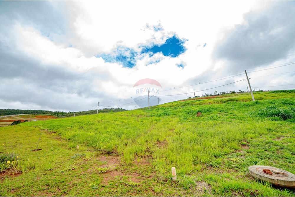 Terreno - Venda - Juiz de Fora , Minas Gerais - MichaelLopes_Seed_alta 2080-218.jpg - 860281091-49