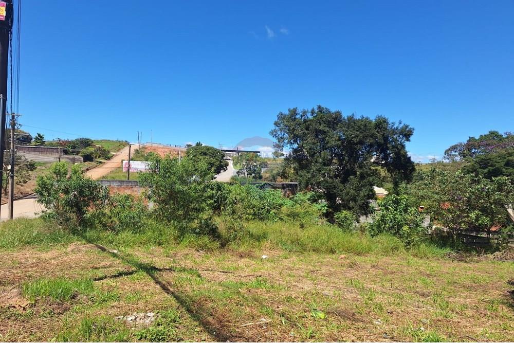 Terreno - Venda - Barbacena , Minas Gerais - WhatsApp Image 2025-04-09 at 11.12.16.jpeg - 860391020-59