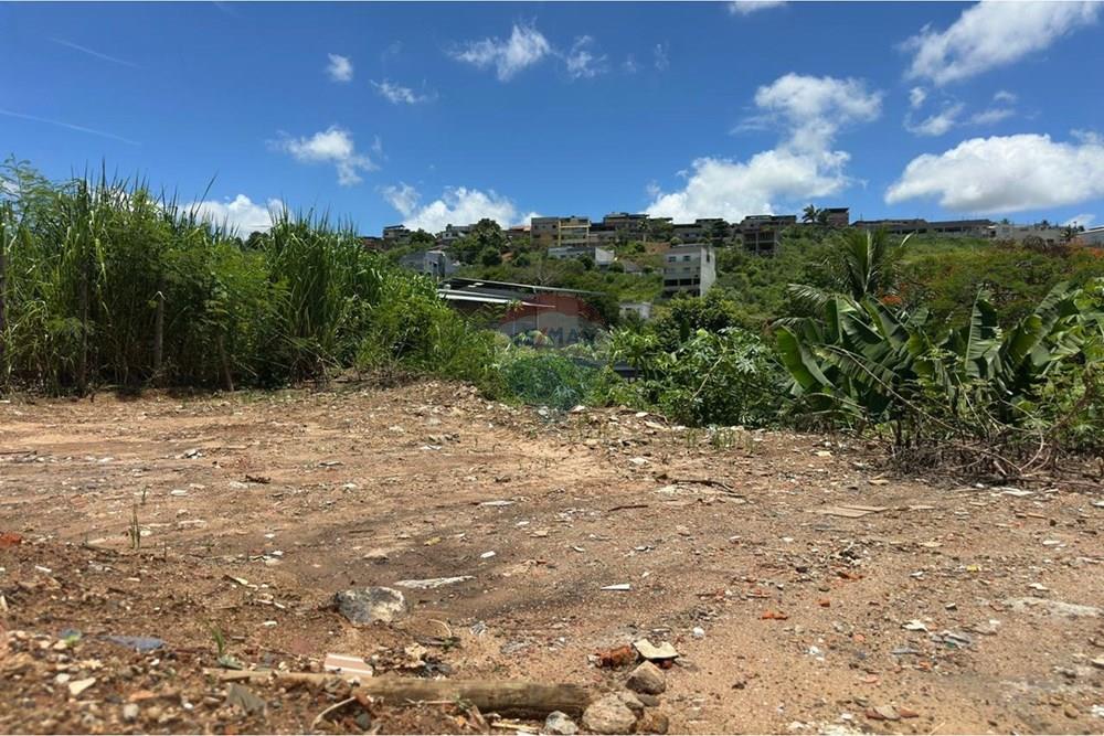 Terreno - Venda - Muriaé , Minas Gerais - WhatsApp Image 2026-01-09 at 12.40.42 (1).jpeg - 860371007-114