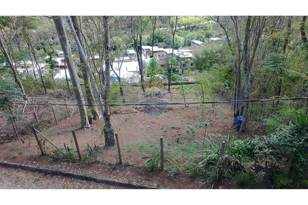 Terreno - Venda - Juiz de Fora , Minas Gerais - michaelseed photo_1103-20.jpg - Quintal - 860211074-39