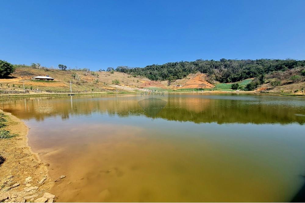 Chácara / Sítio / Fazenda - Venda - Patrocínio do Muriaé , Minas Gerais - 1000322282.jpg - 860371002-115