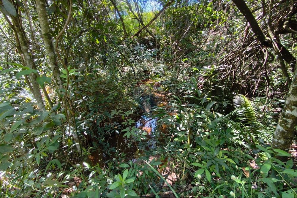 Chácara / Sítio / Fazenda - Venda - Lavras , Minas Gerais - WhatsApp Image 2026-04-08 at 17.33.35 (1).jpeg - 860471037-28