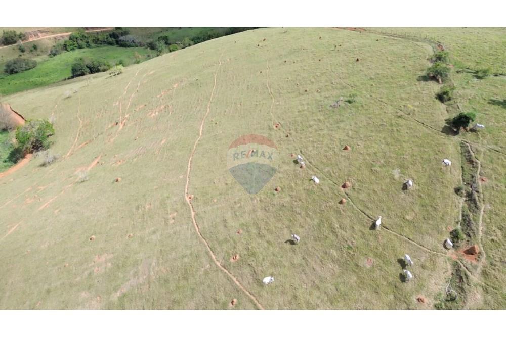 Agro - Venda - Rochedo de Minas , Minas Gerais - 9655acf4-73f6-42c7-88ea-1771600968c2.JPG - 860291041-34